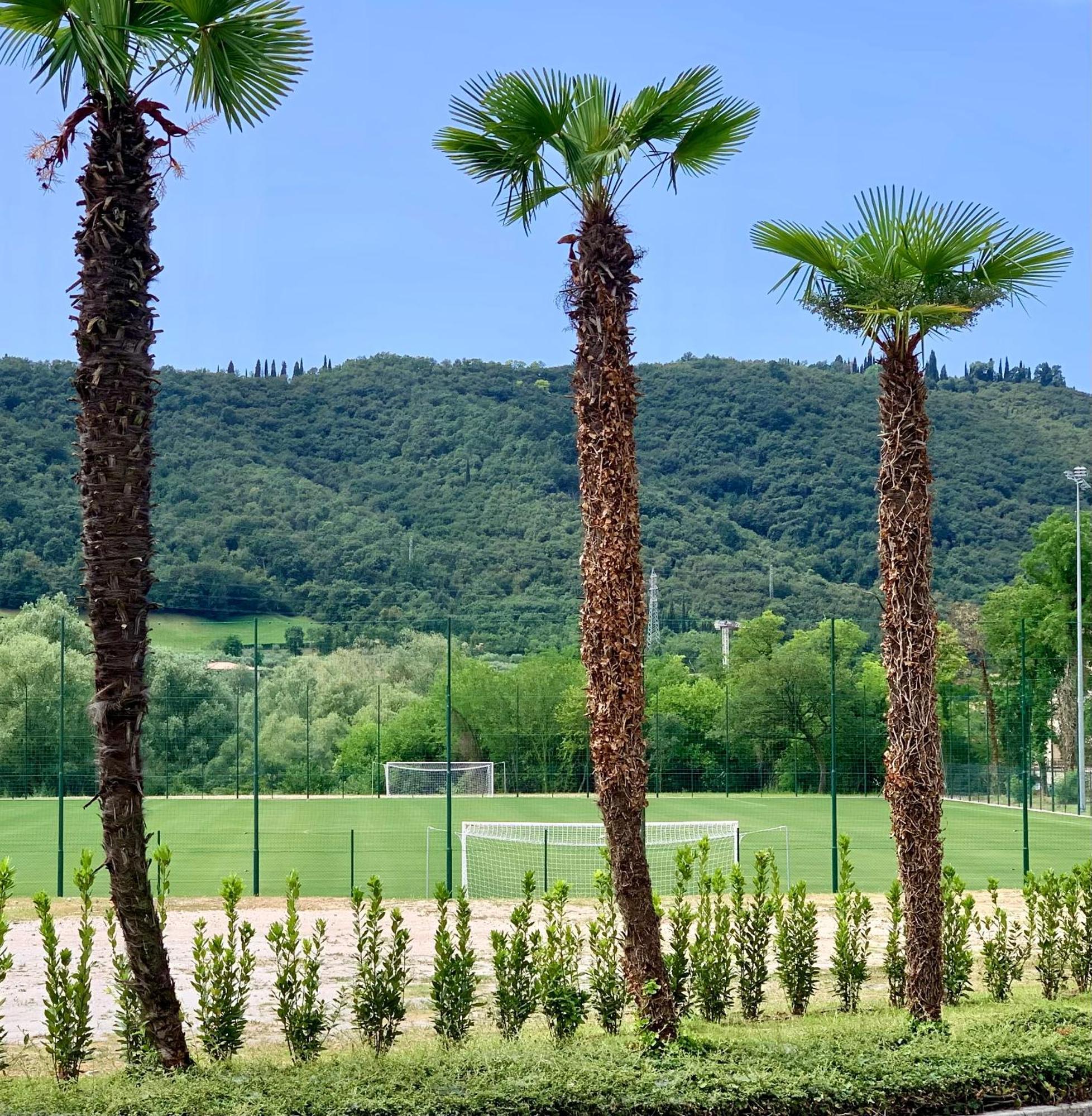 Poiano Garda Resort Appartamenti Garda (Verona) Exterior foto